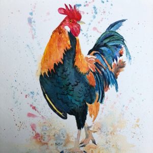 Cockerel